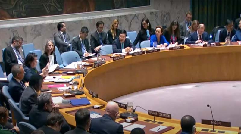 United Nations Security Council meeting